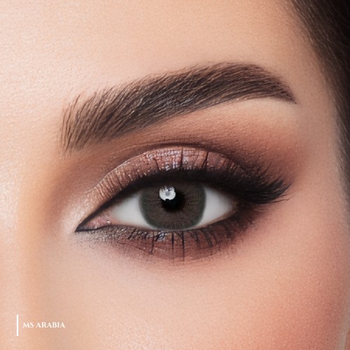 ms lens arabia daily
